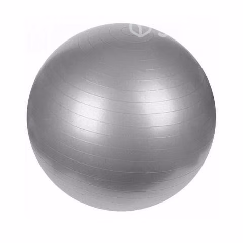 Pelota de Yoga Deportes Pilates 60 CM Gris