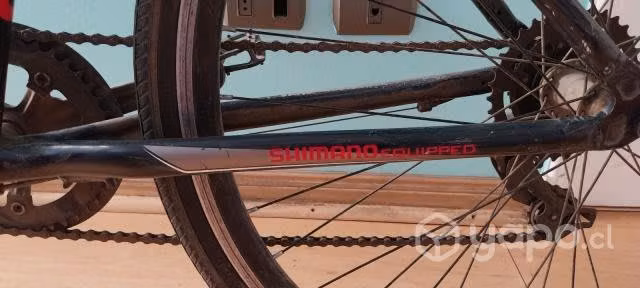 Bici urbana jeep nuptse 28
