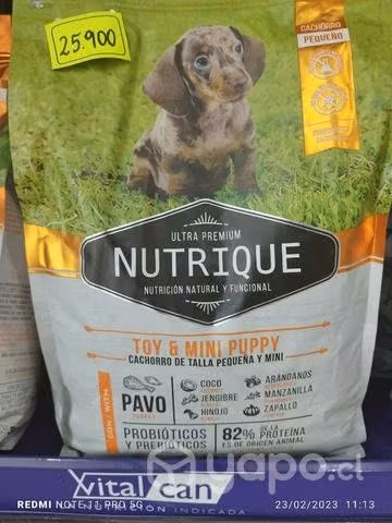 Nutrique cachorro raza pequeña y mini