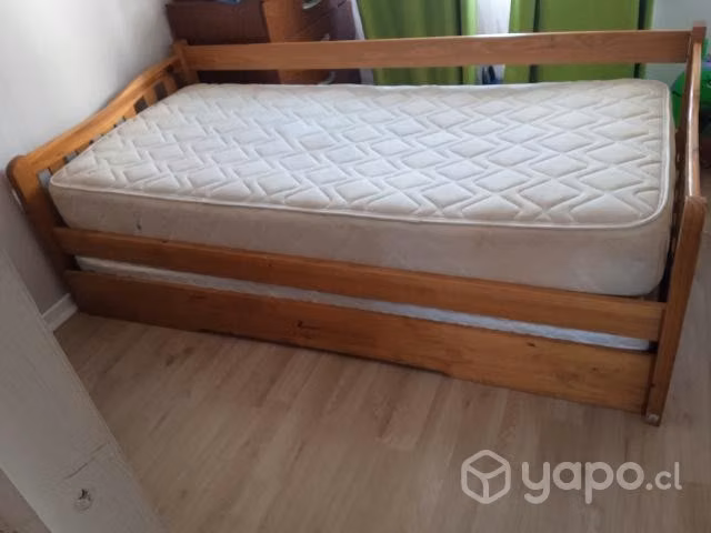 Cama nido