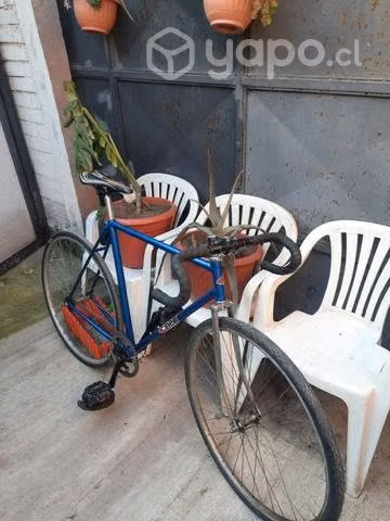 Fixie clasica - Imagen 2