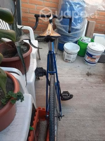 Fixie clasica - Imagen 4