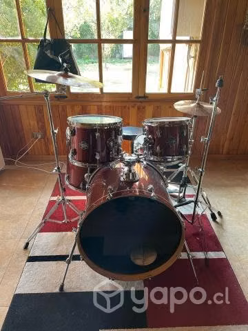 Ludwig Element evolution