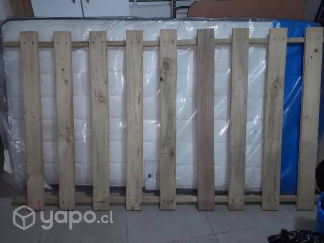 Cama