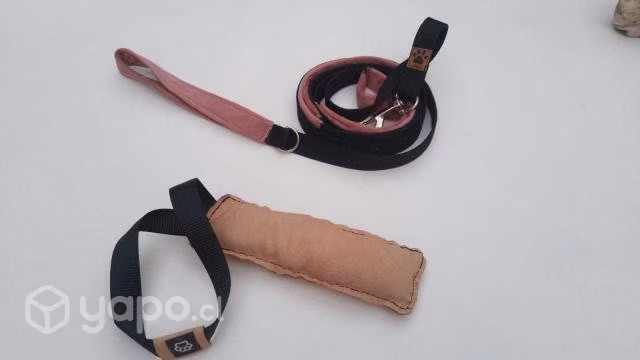 Correa para perros de entrenamiento canino