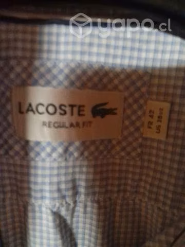 Camisa Lacoste original - Imagen 3