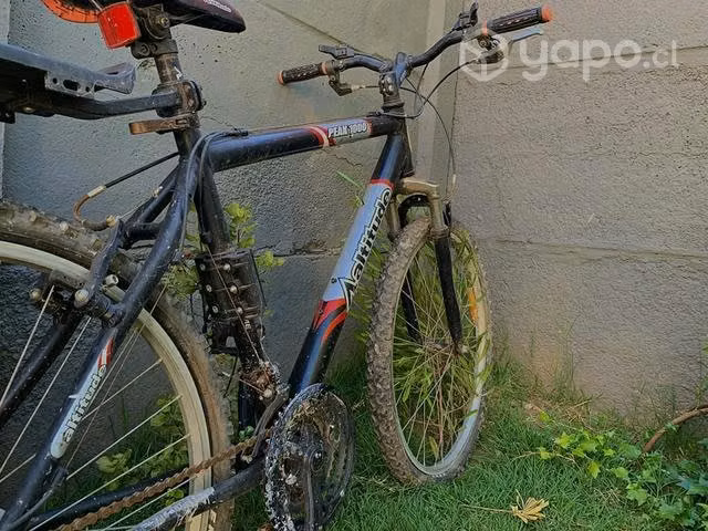 Par de bicicletas de aluminio Bianchi y Aaltitude - Imagen 5