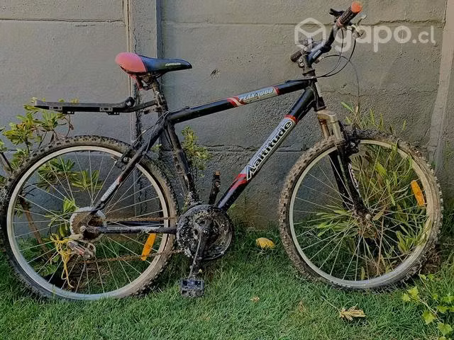 Par de bicicletas de aluminio Bianchi y Aaltitude - Imagen 3