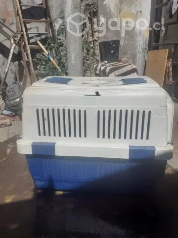Jaula para perro