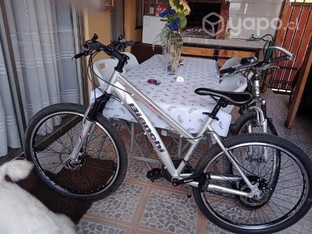 Bicicletas