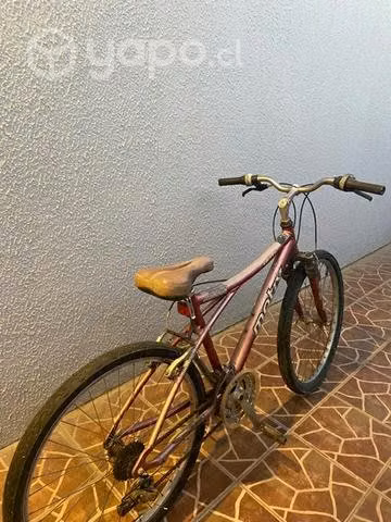 Bicicleta adulto - Imagen 5