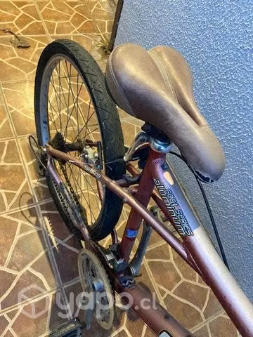 Bicicleta adulto - Imagen 4