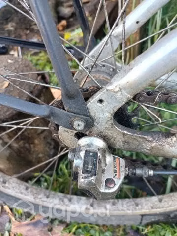 Bicicleta caloi - Imagen 3
