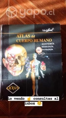 Atlas del cuerpo humano lexus