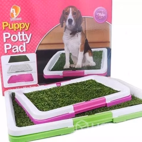 Baño de mascotas