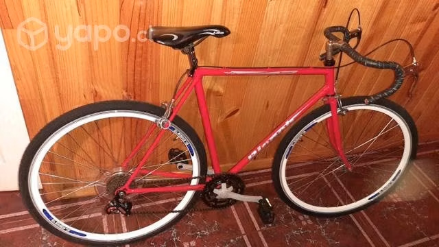 Bicicleta pistera