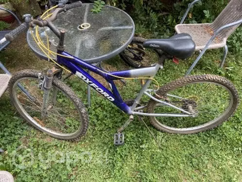 Bicicleta adulto - Imagen 2