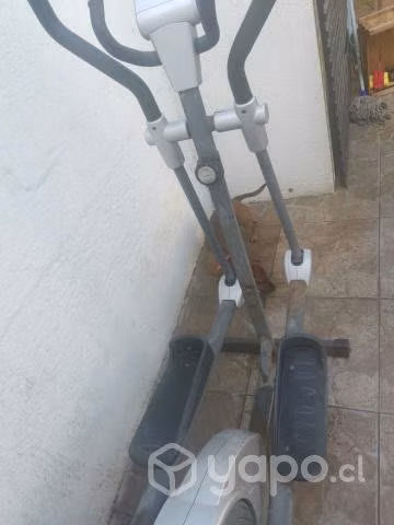 Elíptica
