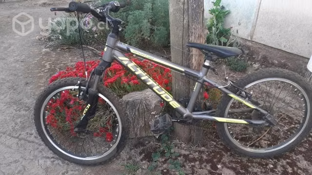 Bicicleta Altitude Sport Aro 20