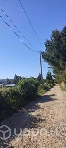 Parcela plana, Lanco, región de los ríos (5000m2) - Imagen 2