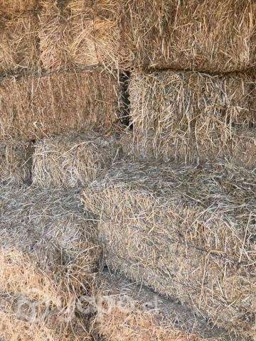 Fardos ALFALFA - Imagen 3