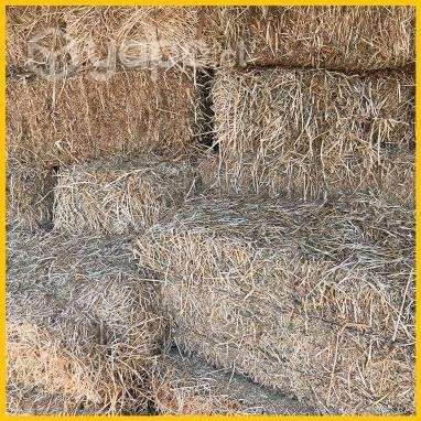 Fardos ALFALFA - Imagen 2