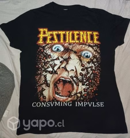 poleras usadas en buenas condiciones