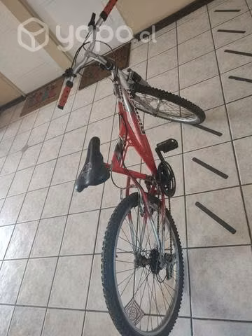 Bicicleta montaña