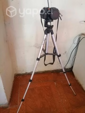 Varios