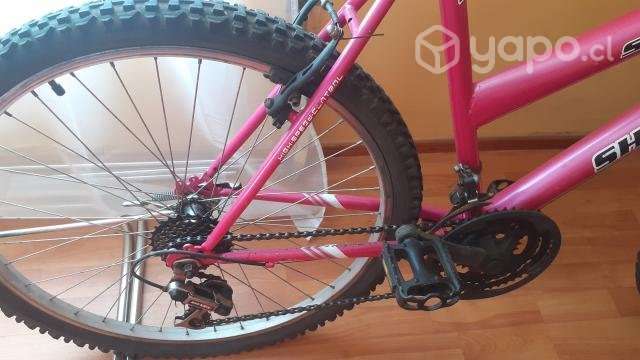 Bicicleta - Imagen 2
