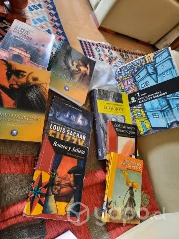 Libros de lectura y texto de historia 1 medio savi