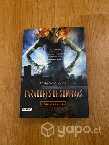 Libro Cazadores de sombras, ciudad de hueso