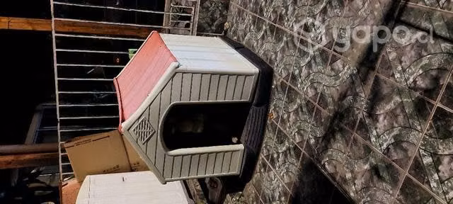 casa perro grande