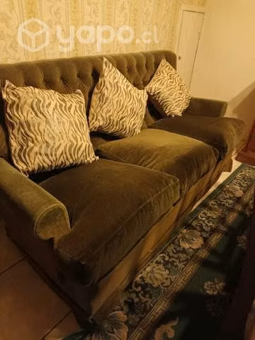 Hermoso living felpa antiguo