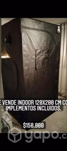 Indoor 120x200 Usado