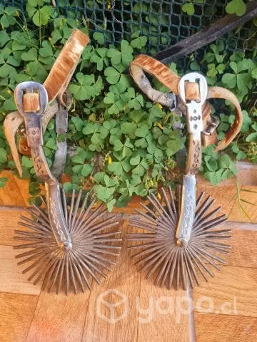 Espuelas de huaso