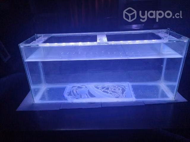 Acuarios con tapa - Imagen 6