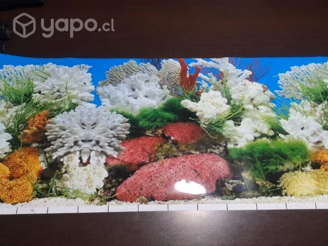 Acuarios con tapa - Imagen 2