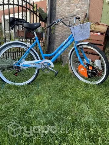 Bicicleta de paseo