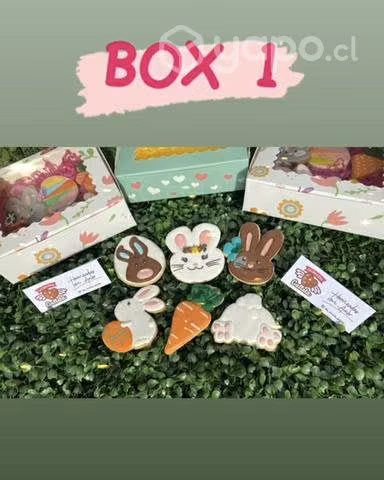 Galletas decoradas con Glasé