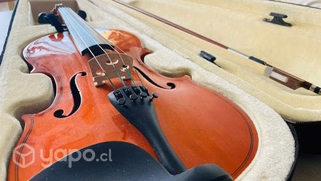 Violin