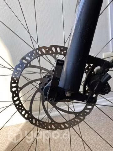 Specialized Rockhopper 29