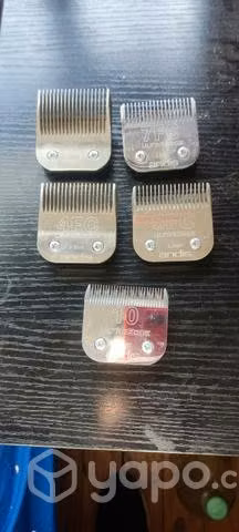 Artículo de peluquería canina