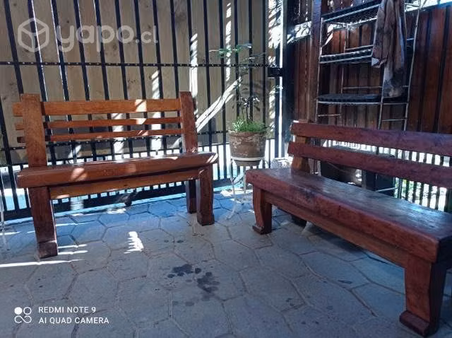 Escaño raulí - Imagen 2