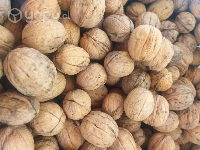 Nueces del año