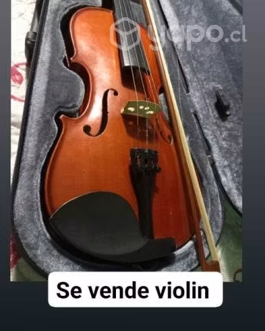 Violin 3/4