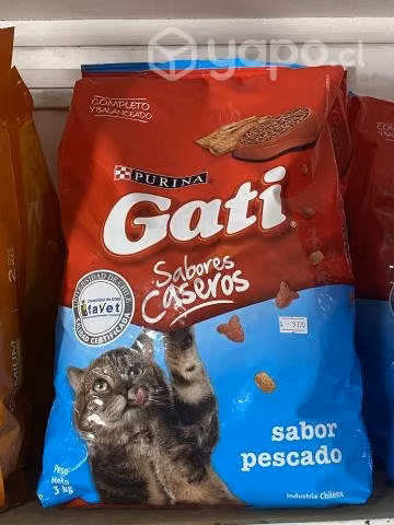 Gati purina