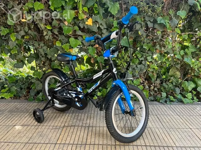 Bicicleta Junior Marca Giant