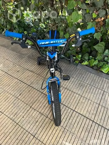 Bicicleta Junior Marca Giant