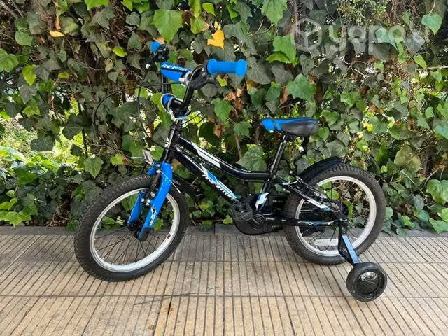 Bicicleta Junior Marca Giant